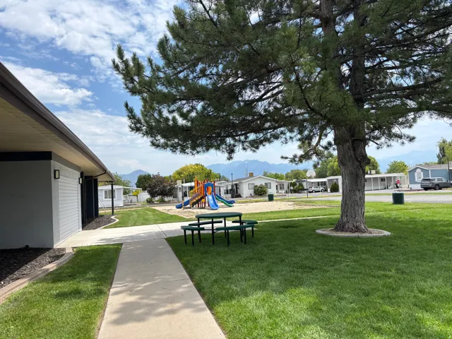 PICNIC AREA!