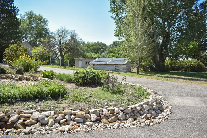 Paved driveway with a stone border garden featuring various plantings