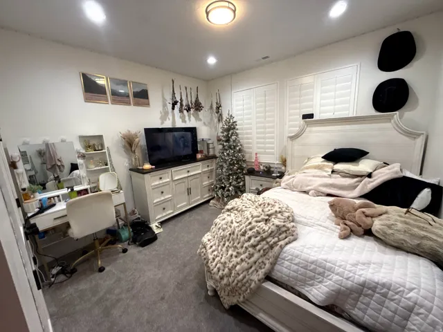 Plush gray carpet flooring paired with white walls, recessed lighting, and a central ceiling light fixture