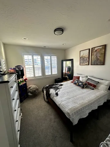 Bedroom featuring plush gray carpeting, dual windows with white plantation shutters, a recessed ceiling light, and a central flush-mount ceiling fixture