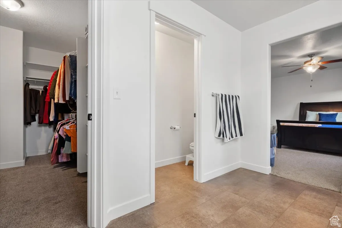 Spacious walk-in closet with built-in shelving, carpet flooring, and white trim