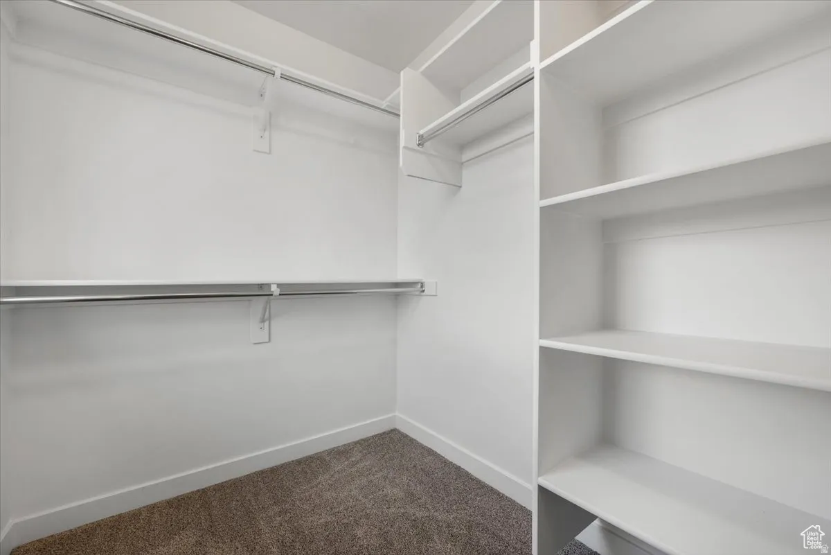 Walk-in closet featuring white walls, deep pile carpet flooring, and a comprehensive organizational system