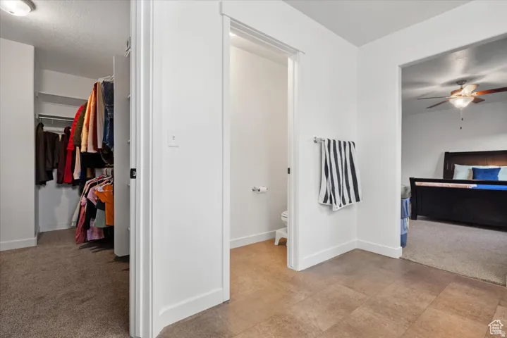 Spacious walk-in closet with built-in shelving, carpet flooring, and white trim