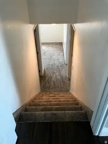 Carpeted staircase to basement with dark wood-finish treads leading to a hallway with patterned carpeting and white walls
