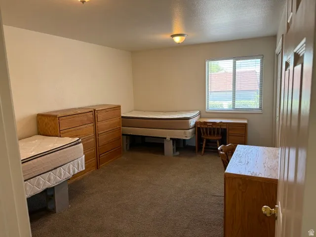 Carpeted room with a window featuring horizontal blinds, recessed ceiling light, and light-toned walls