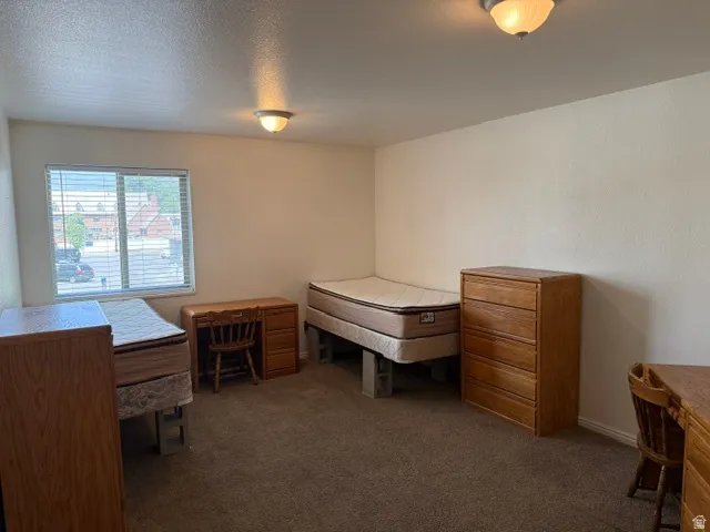 Carpeted room with a window featuring horizontal blinds