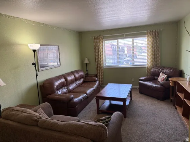 Living area featuring a window with blinds and patterned curtains, textured light green walls, and carpet flooring