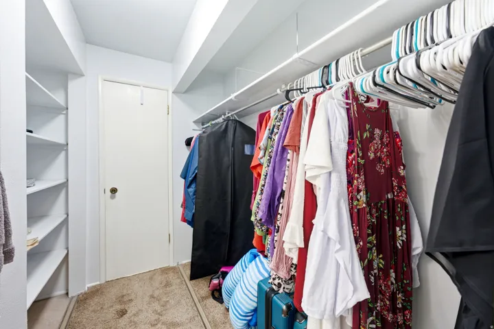 White built-in shelving, carpet flooring, a white interior door, and a clothing rod for storage