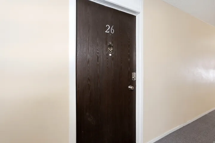 Dark wood-finish entry door with a door knocker and modern hardware, complemented by light-toned wall finishes and a grey carpeted hallway