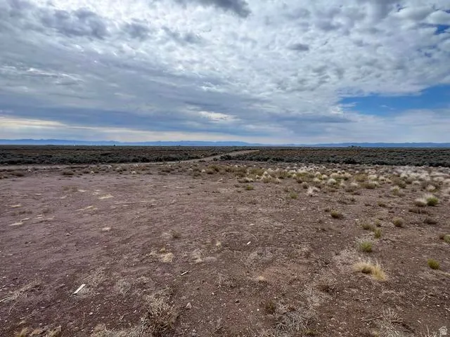Expansive undeveloped land featuring diverse natural vegetation and a distant mountain range