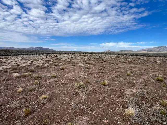 Expansive open land featuring natural vegetation and distant mountain ranges