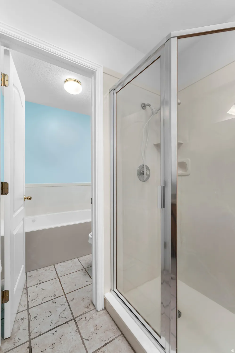 Primary Bathroom~Glass-enclosed shower and separate Jetted Tub.