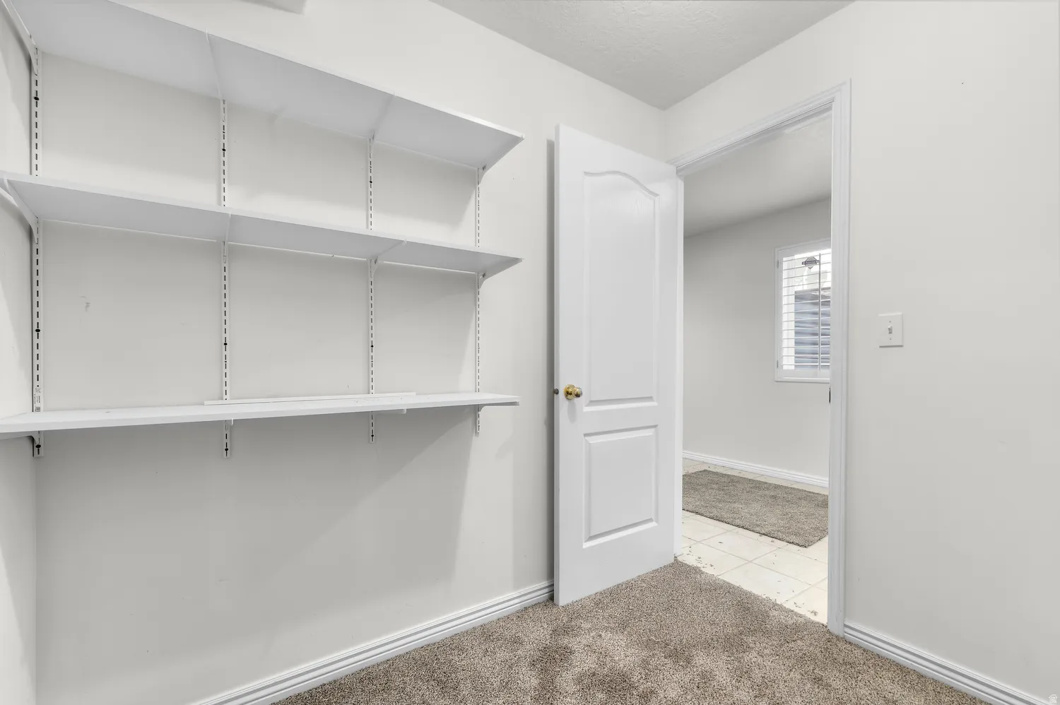 Another Flex Space/ Built-in adjustable shelving. This space could be added to the Kitchenette space to create a full Kitchen.