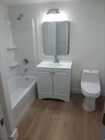 Full bathroom with a white vanity featuring a polished chrome faucet, a rectangular mirror, and an overhead vanity light