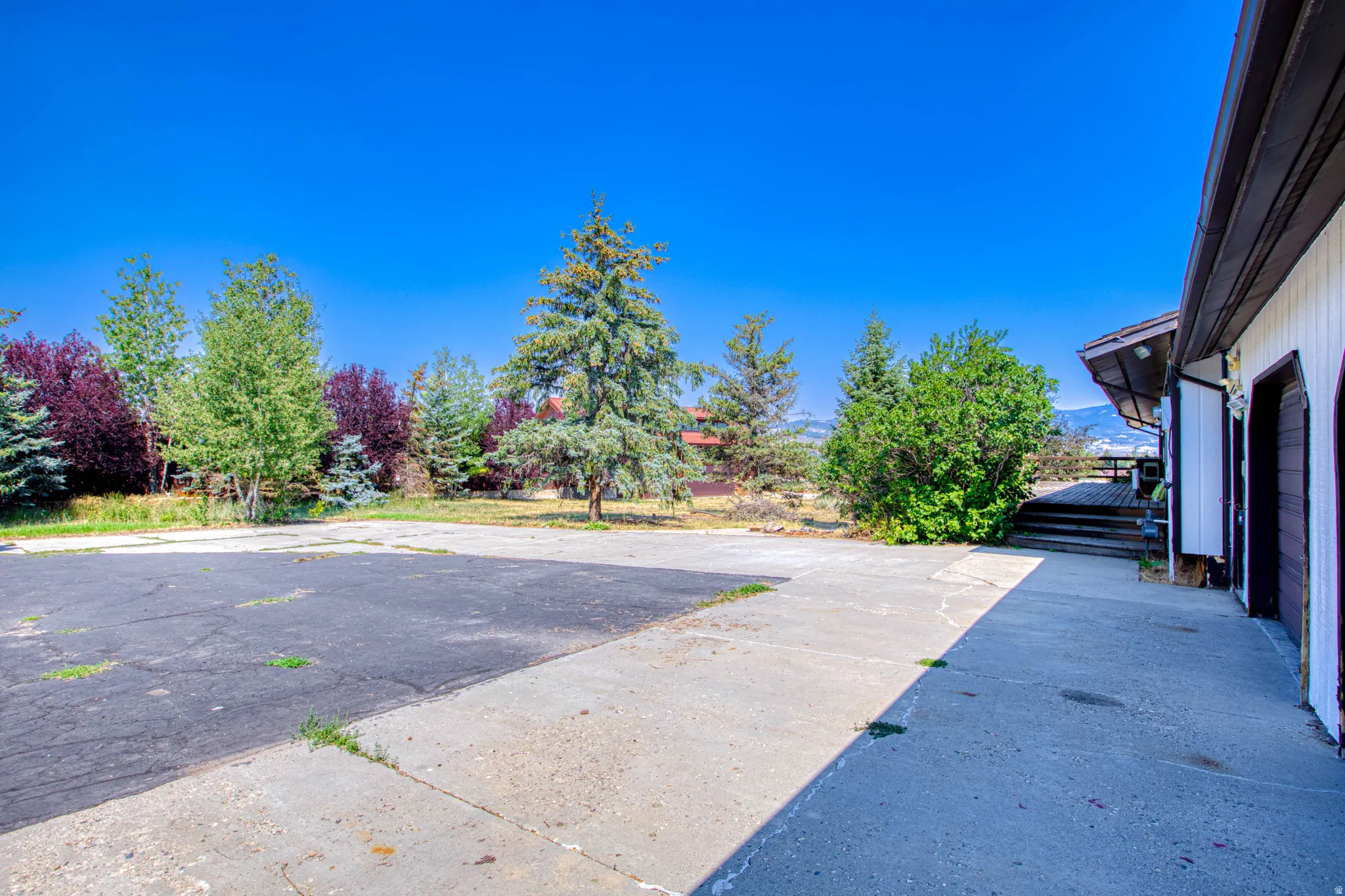 Expansive concrete and asphalt driveway with mature trees and a multi-level wood deck