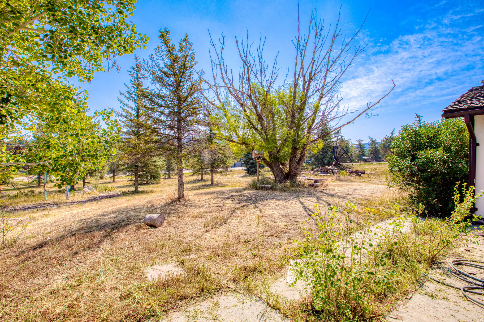 Expansive outdoor space featuring mature trees and a partial exterior of the home