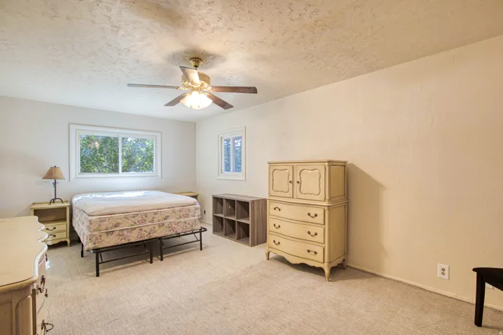 Carpeted room featuring a ceiling fan with light fixture, dual windows, and light-toned wall finishes