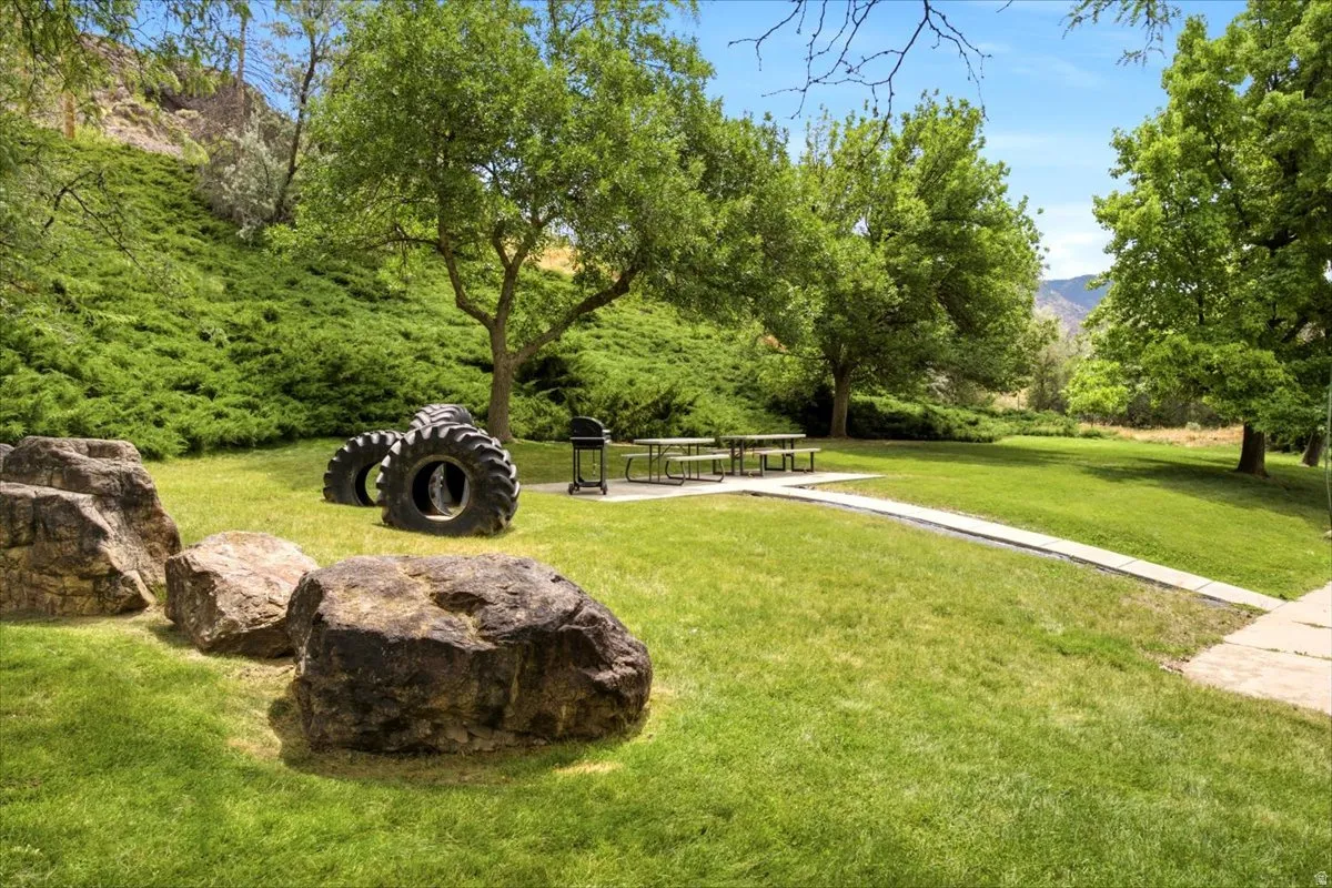 Community picnic area and green space
