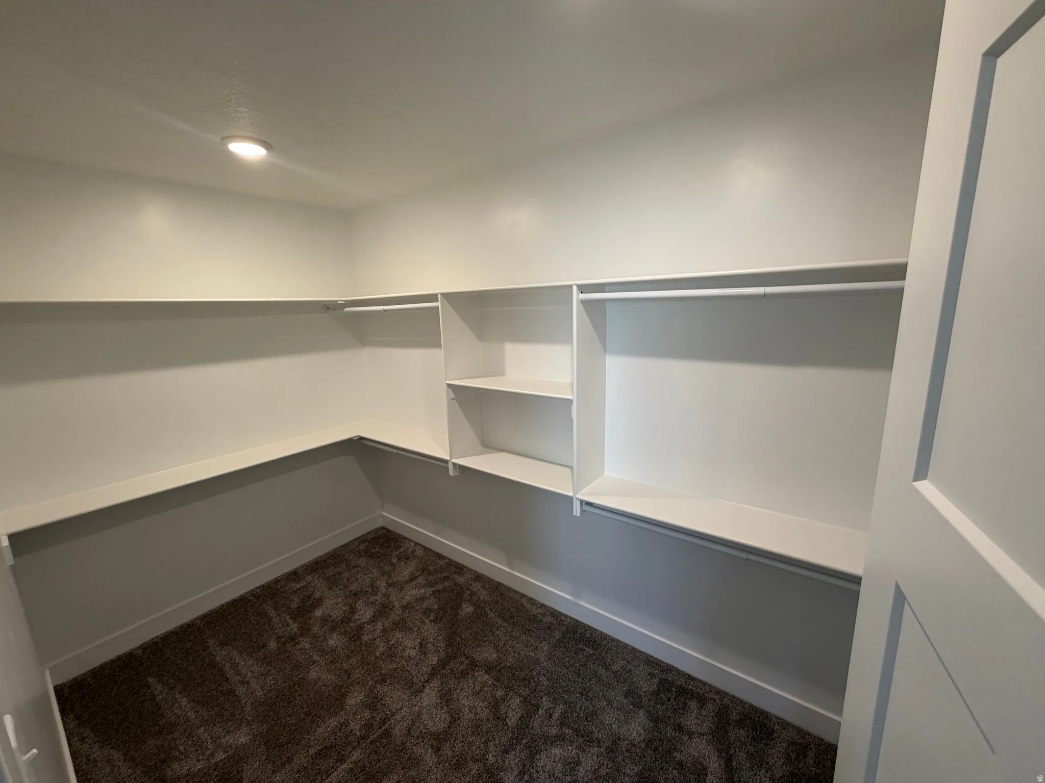 Walk-in closet featuring white built-in shelving, hanging rods, recessed ceiling lighting, and dark carpet flooring