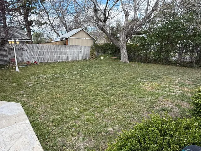 Expansive backyard featuring a large tree providing natural shade, a wooden privacy fence, and a detached shed