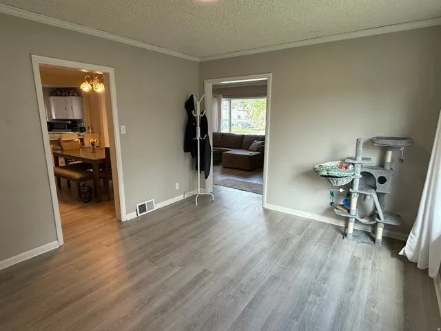 Light gray wood-finish flooring