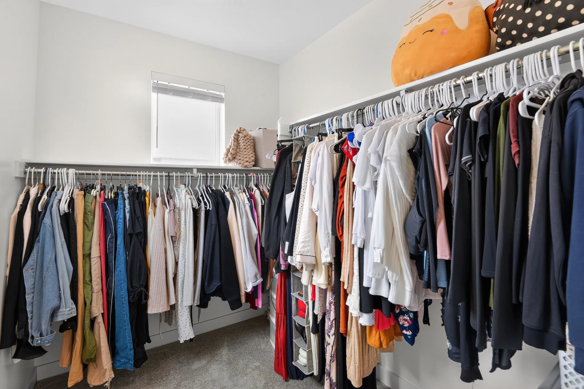 Spacious walk-in closet featuring white walls, light gray carpet flooring, a window with blinds, and white wire shelving with hanging rods