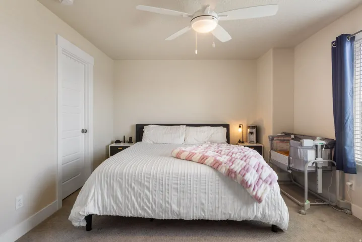 Carpeted bedroom featuring a ceiling fan with integrated lighting, a panel door, and a window with blinds