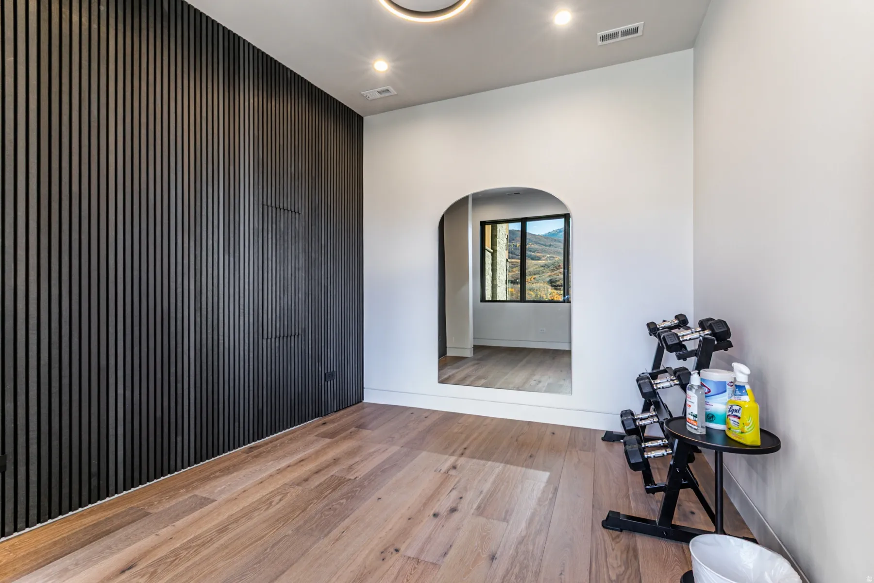 Accent wall featuring vertical paneling, light wood-finish flooring, recessed lighting, and a full-height arched mirrored doorway reflecting exterior scenery