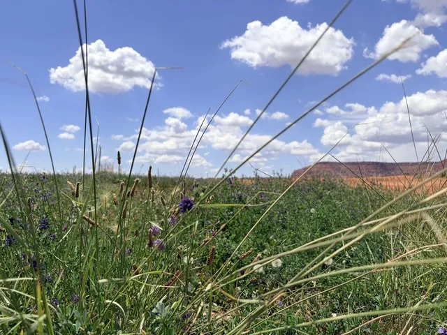 , Kanab, Utah 84741