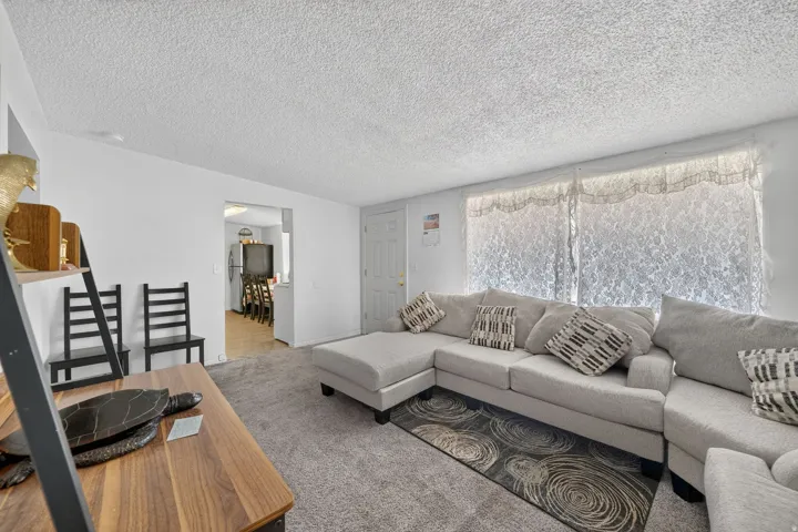 Carpeted living area featuring white walls, a textured ceiling, and a large window with lace coverings