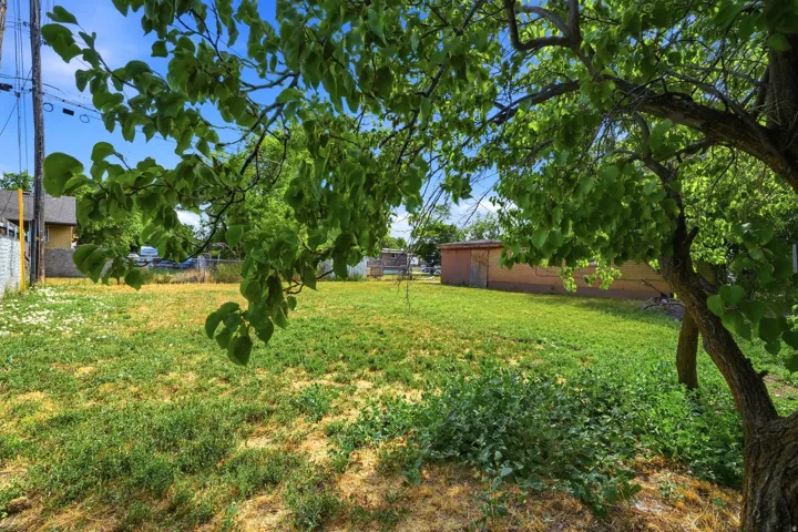Expansive lot featuring mature trees providing natural shading, established green space, and visible fencing