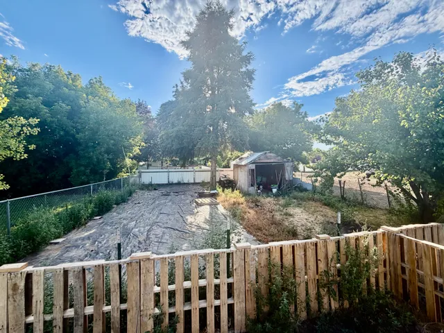 Expansive rear yard featuring mature trees, a chain-link fence, and a rustic storage shed