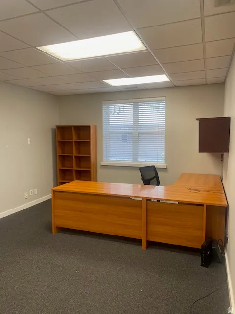 Commercial interior featuring gray carpeting, drop ceiling with integrated lighting, and a window with blinds
