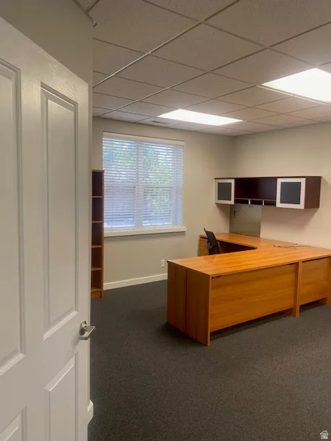 Spacious room featuring dark gray carpeting, a large window with white blinds, and light-colored walls