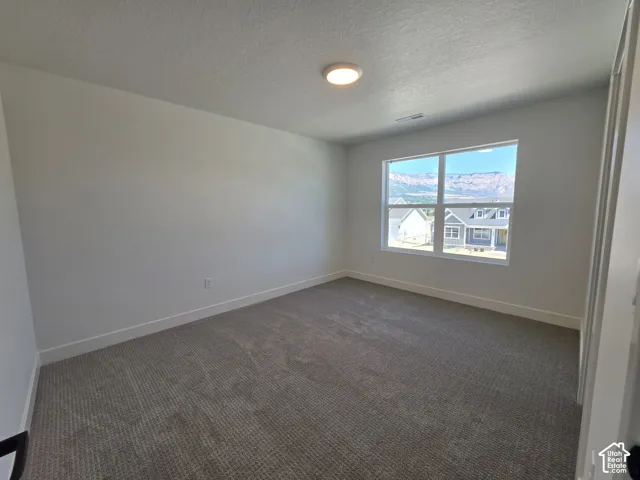 Bedroom featuring a large multi-pane window, neutral carpet flooring, white baseboards, and a flush-mount ceiling light