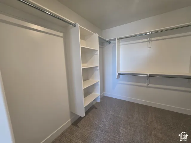Closet featuring integrated shelving, dual hanging rods, light-toned carpeting, and crisp white trim