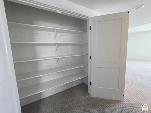 Built-in shelving unit with multiple white shelves, a two-panel door with black hardware, and textured carpet flooring