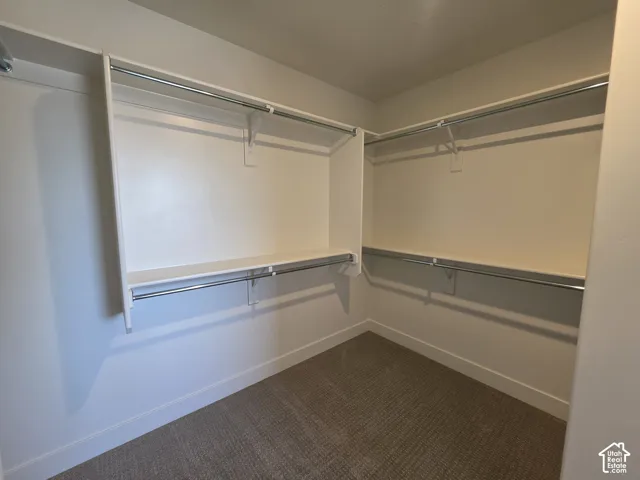 Walk-in closet featuring built-in shelving, chrome hanging rods, and neutral-toned carpeting