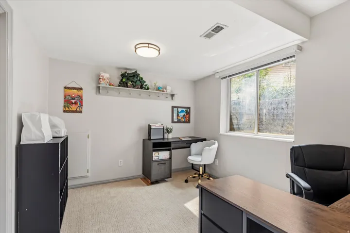 Bright room featuring a large window, neutral carpeting, and a flush-mount ceiling light