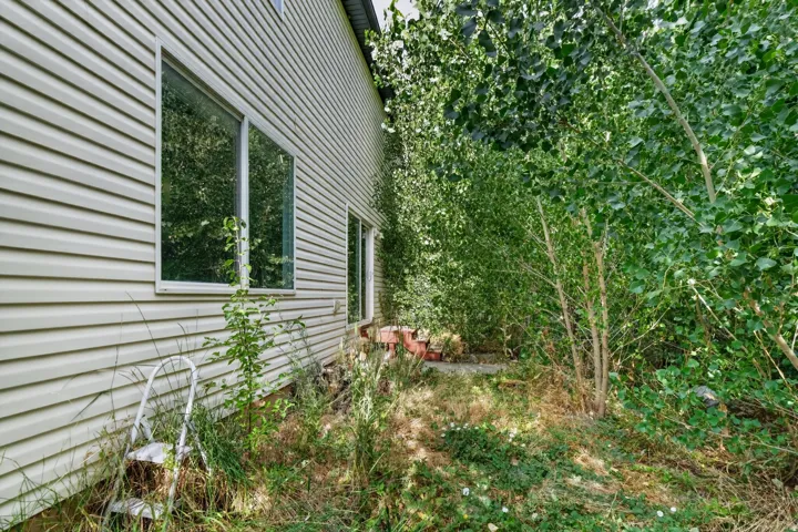 Vinyl siding exterior with multiple window panes and lush perimeter foliage