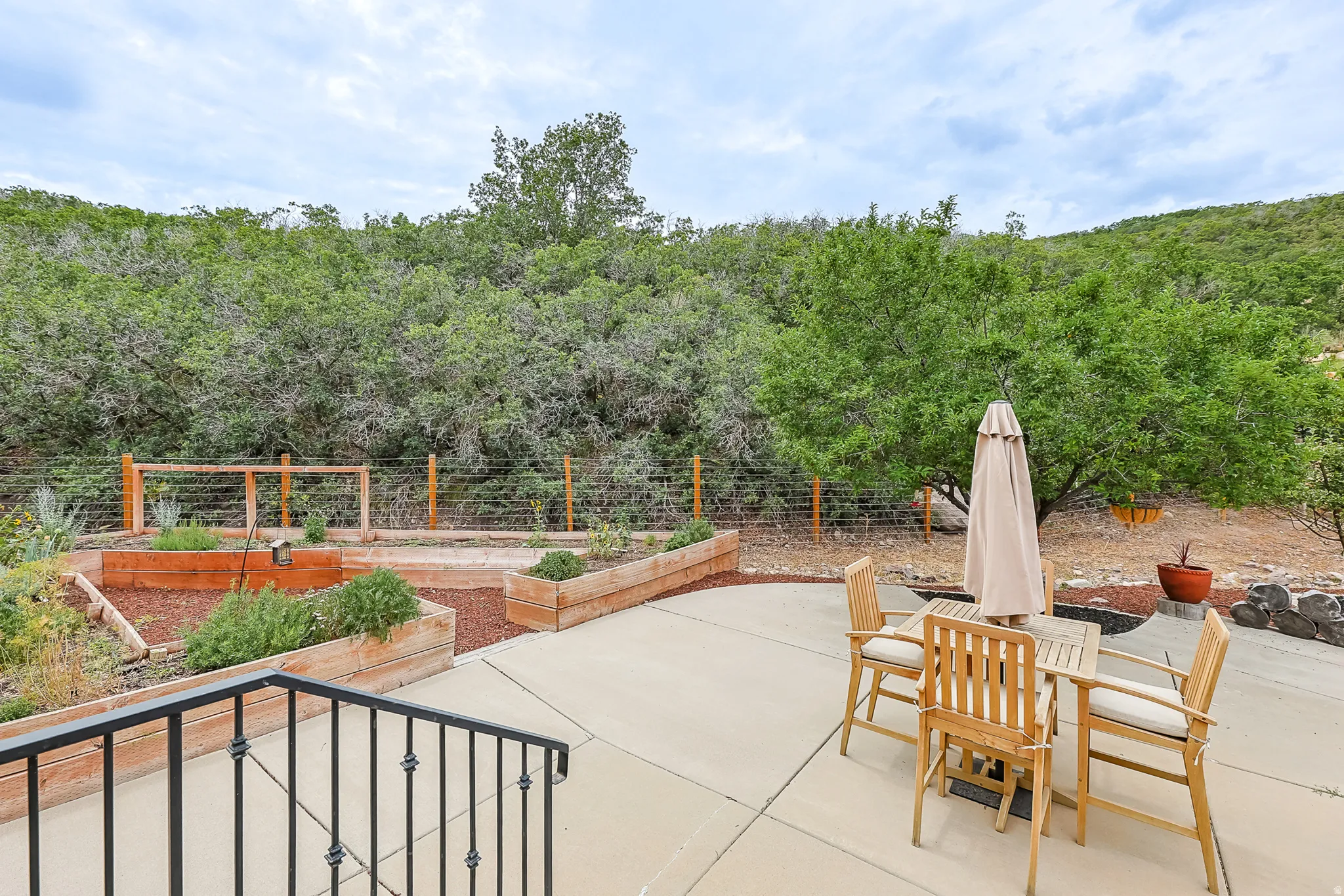 Private back patio, garden boxes