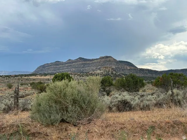 South View of Cliffs