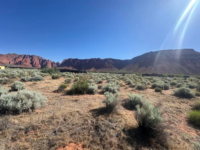 Expansive desert landscape featuring natural scrub brush and distant red rock formations under a clear sky