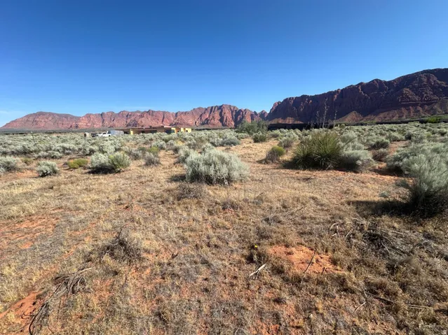 Expansive arid landscape featuring natural scrub vegetation and distant red rock formations