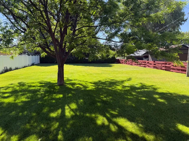 Expansive grassy lawn with a mature shade tree