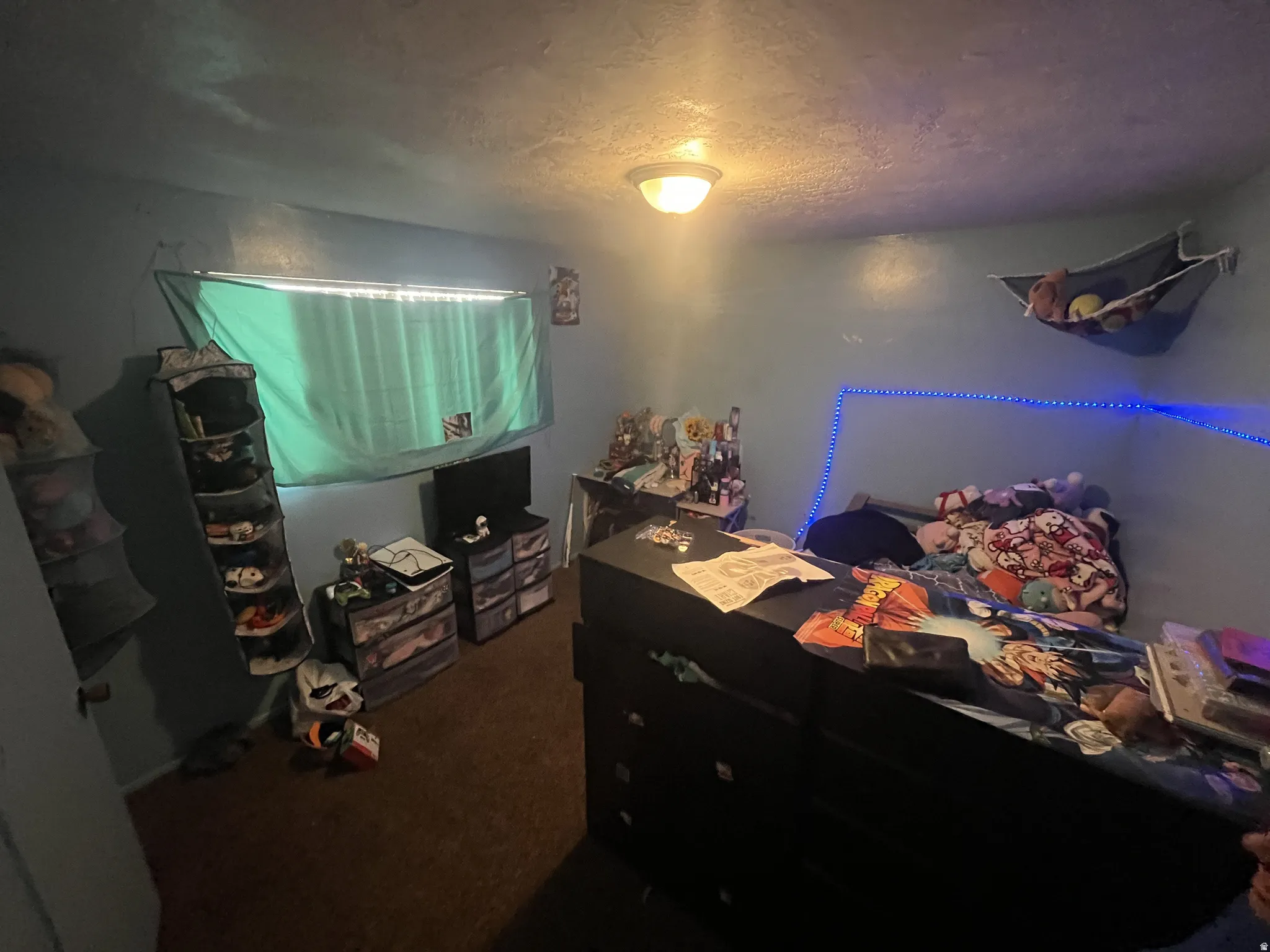 Image quality insufficient for description
