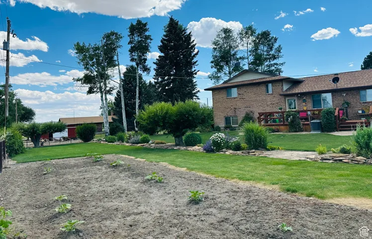 Back yard garden area
