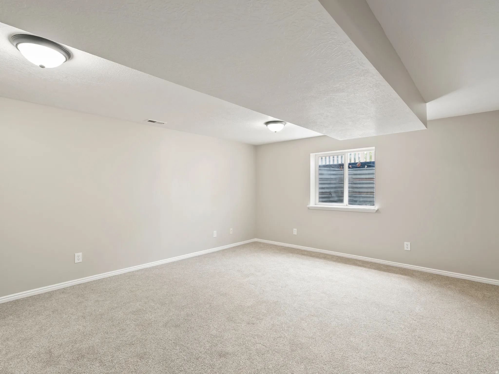 Finished room featuring neutral carpeting, a single window, and a ceiling-mounted light fixture