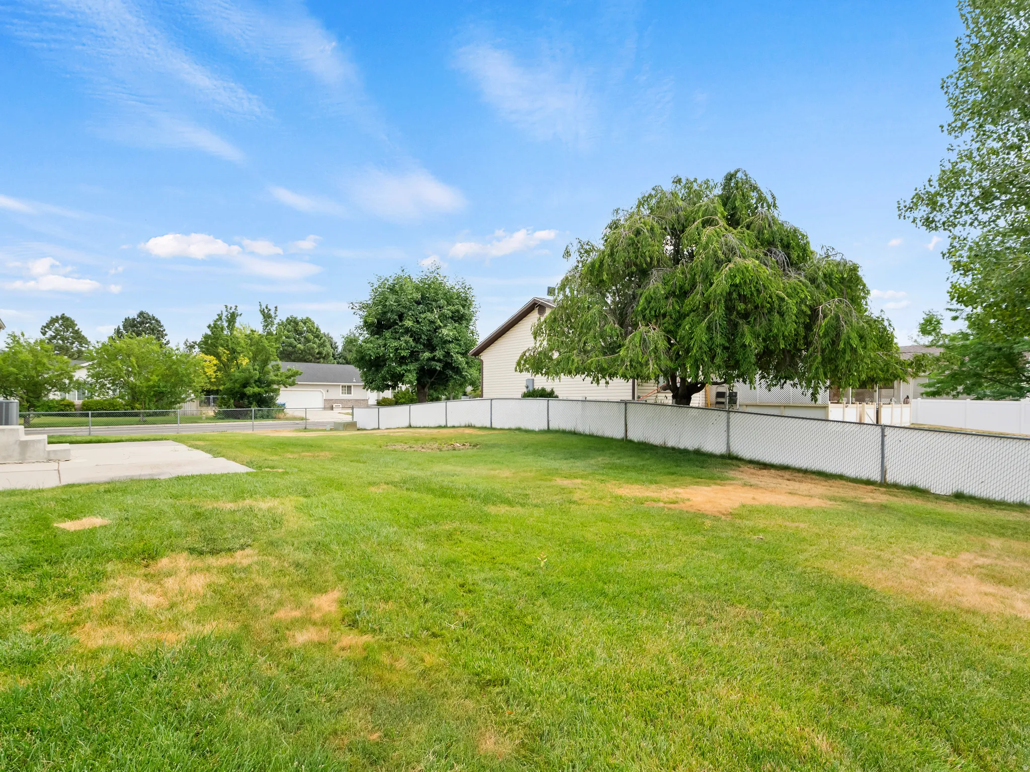 Expansive backyard featuring a mature weeping willow tree, large concrete patio, and chain-link fence