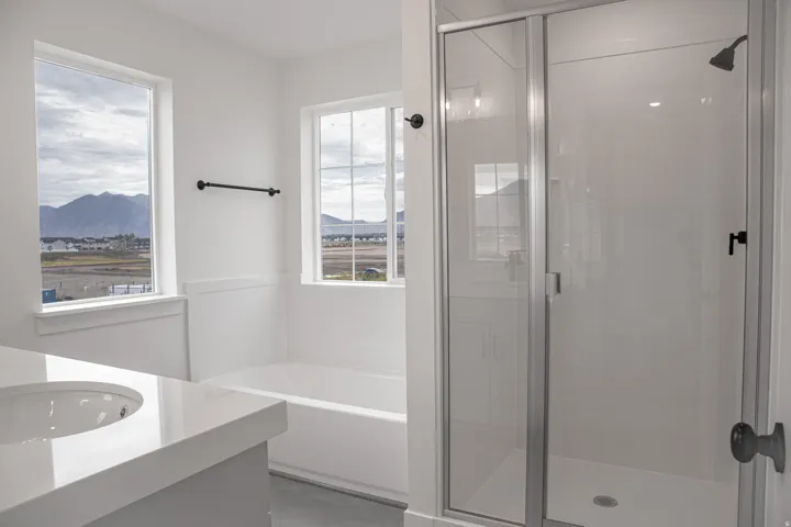 Separate tub and shower in primary bathroom